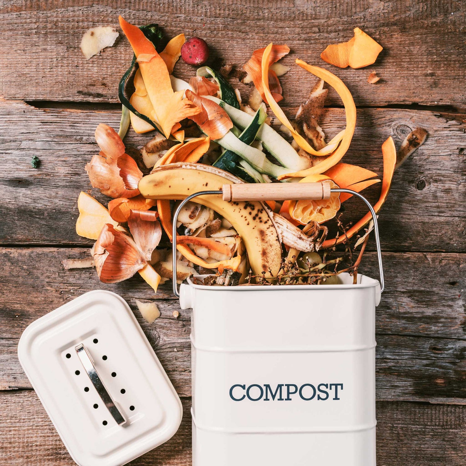 Compost for worms - Diggory Worms